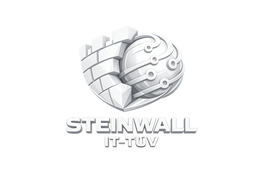 STEINWALL IT-Check